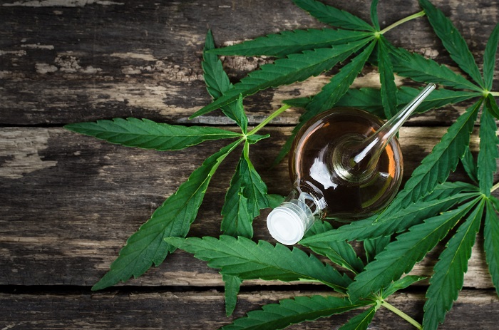 Can You Really Lose Weight With CBD?